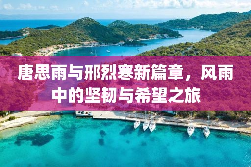 唐思雨与邢烈寒新篇章，风雨中的坚韧与希望之旅