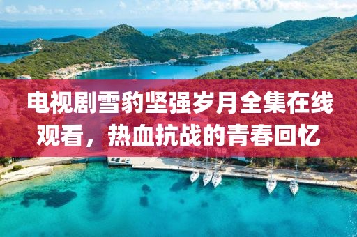 电视剧雪豹坚强岁月全集在线观看，热血抗战的青春回忆