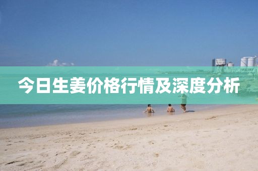 今日生姜价格行情及深度分析