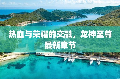 热血与荣耀的交融，龙神至尊最新章节
