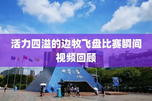 活力四溢的边牧飞盘比赛瞬间视频回顾