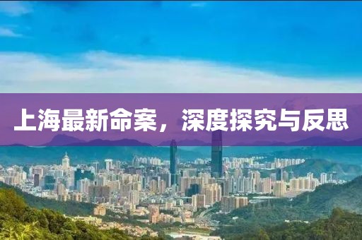 上海最新命案，深度探究与反思