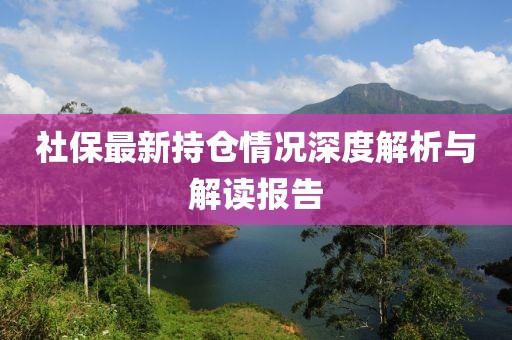 社保最新持仓情况深度解析与解读报告