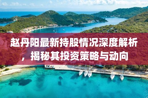赵丹阳最新持股情况深度解析，揭秘其投资策略与动向