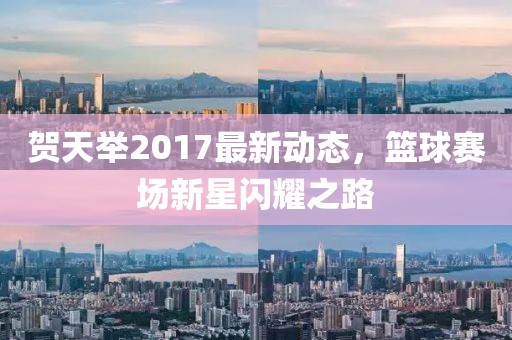 贺天举2017最新动态，篮球赛场新星闪耀之路
