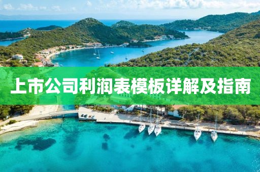 上市公司利润表模板详解及指南