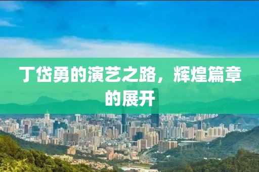丁岱勇的演艺之路，辉煌篇章的展开