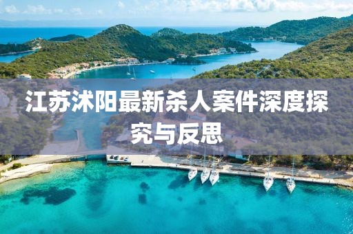 江苏沭阳最新杀人案件深度探究与反思