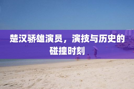 楚汉骄雄演员，演技与历史的碰撞时刻
