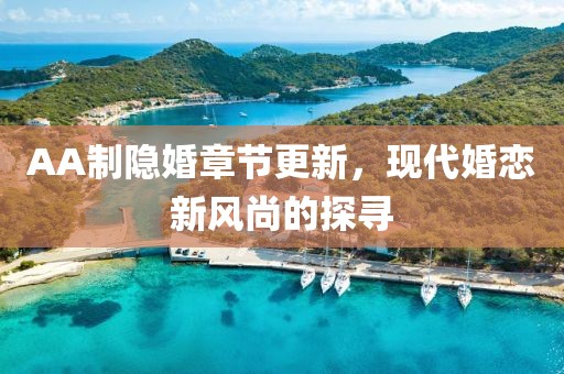 AA制隐婚章节更新，现代婚恋新风尚的探寻