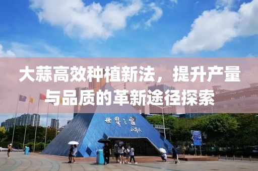 大蒜高效种植新法，提升产量与品质的革新途径探索