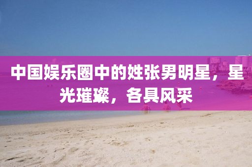 中国娱乐圈中的姓张男明星，星光璀璨，各具风采