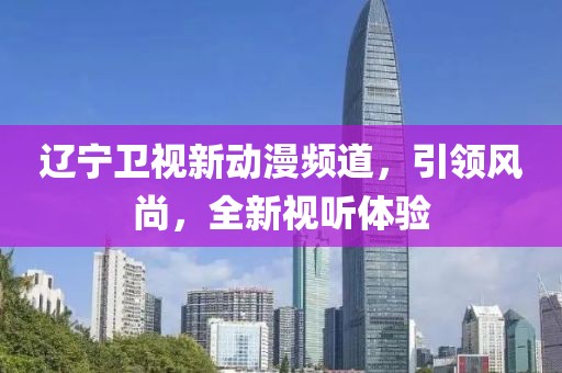 辽宁卫视新动漫频道，引领风尚，全新视听体验