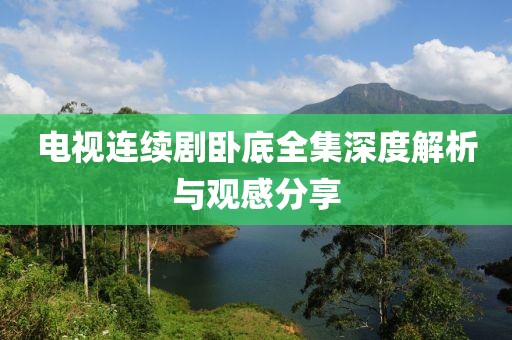 电视连续剧卧底全集深度解析与观感分享
