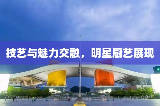 技艺与魅力交融，明星厨艺展现