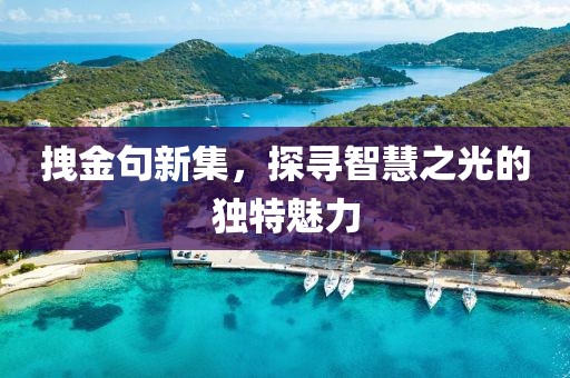 拽金句新集，探寻智慧之光的独特魅力
