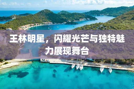 王林明星，闪耀光芒与独特魅力展现舞台