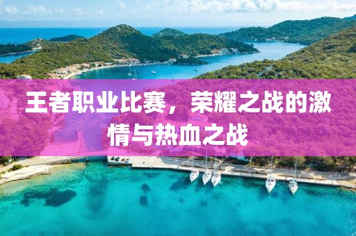 王者职业比赛，荣耀之战的激情与热血之战