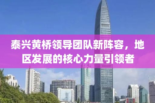 泰兴黄桥领导团队新阵容，地区发展的核心力量引领者