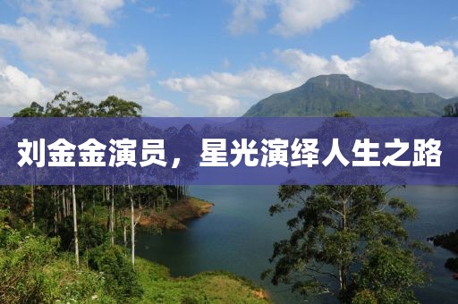 刘金金演员，星光演绎人生之路