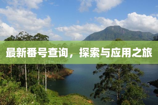 最新番号查询，探索与应用之旅