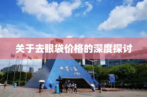 关于去眼袋价格的深度探讨
