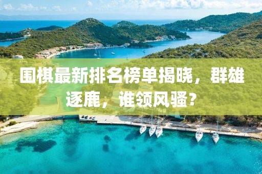 围棋最新排名榜单揭晓，群雄逐鹿，谁领风骚？