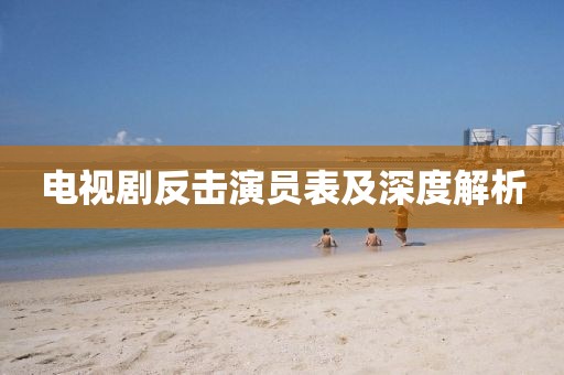 电视剧反击演员表及深度解析