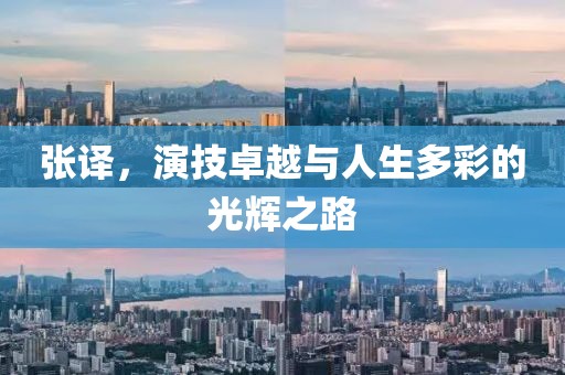 张译，演技卓越与人生多彩的光辉之路