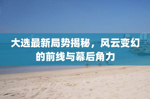 大选最新局势揭秘，风云变幻的前线与幕后角力