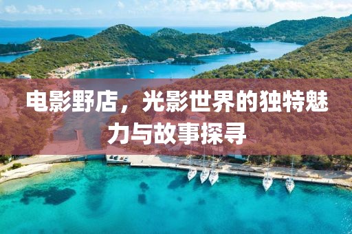 电影野店，光影世界的独特魅力与故事探寻