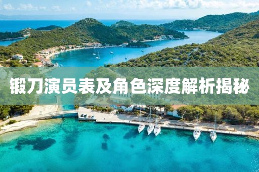 锻刀演员表及角色深度解析揭秘