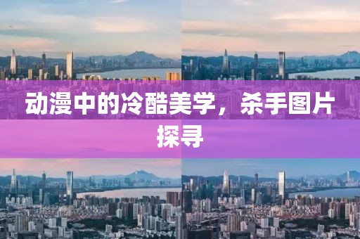 动漫中的冷酷美学，杀手图片探寻