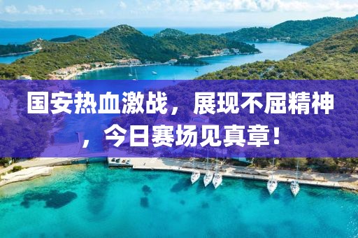 国安热血激战，展现不屈精神，今日赛场见真章！