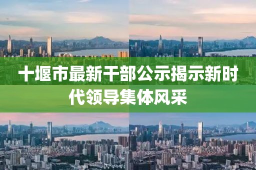 十堰市最新干部公示揭示新时代领导集体风采