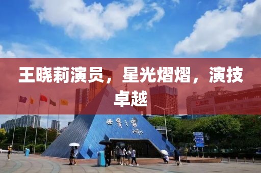 王晓莉演员，星光熠熠，演技卓越