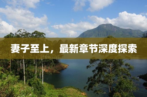 妻子至上，最新章节深度探索