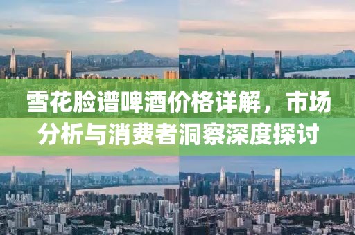 雪花脸谱啤酒价格详解，市场分析与消费者洞察深度探讨