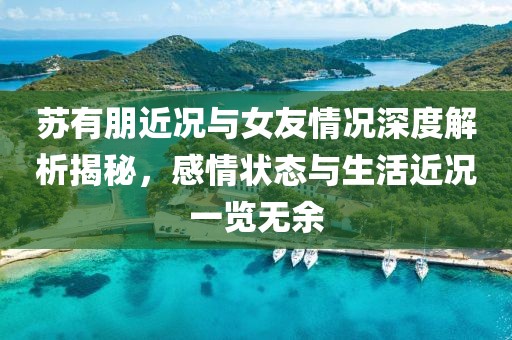 苏有朋近况与女友情况深度解析揭秘，感情状态与生活近况一览无余