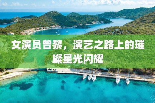 女演员曾黎，演艺之路上的璀璨星光闪耀