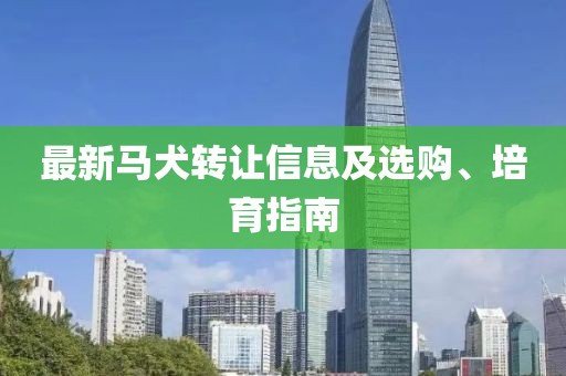 最新马犬转让信息及选购、培育指南