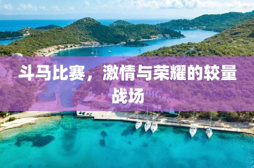 斗马比赛，激情与荣耀的较量战场