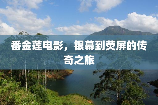 番金莲电影，银幕到荧屏的传奇之旅