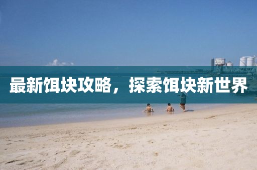最新饵块攻略，探索饵块新世界