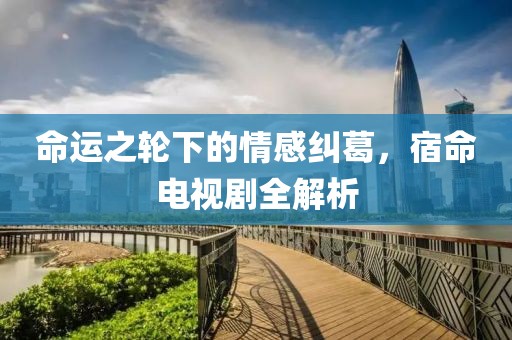 命运之轮下的情感纠葛，宿命电视剧全解析