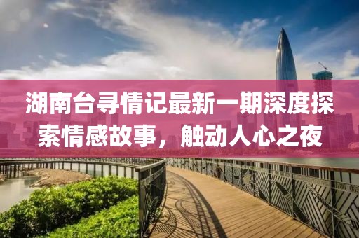 湖南台寻情记最新一期深度探索情感故事，触动人心之夜