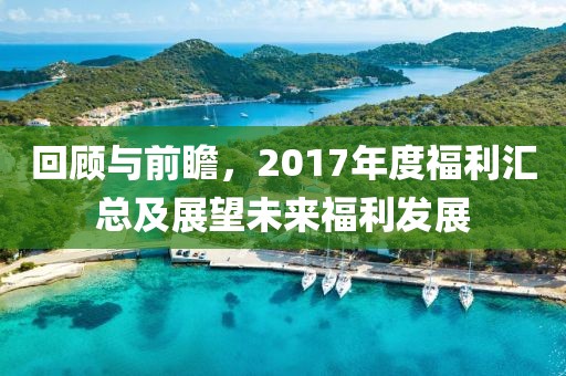 回顾与前瞻，2017年度福利汇总及展望未来福利发展