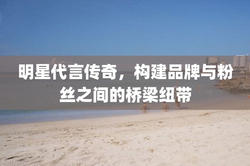 明星代言传奇，构建品牌与粉丝之间的桥梁纽带