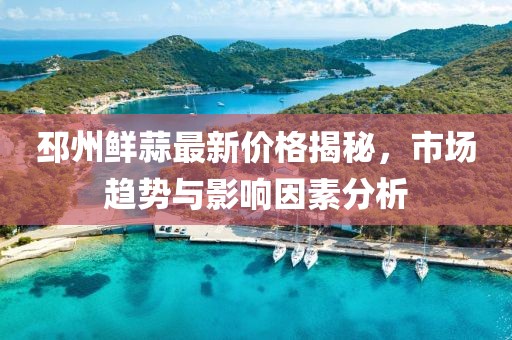 邳州鲜蒜最新价格揭秘，市场趋势与影响因素分析