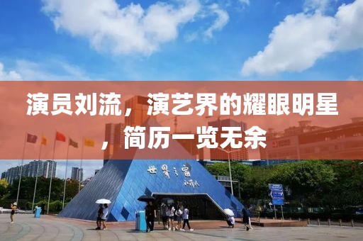 演员刘流，演艺界的耀眼明星，简历一览无余